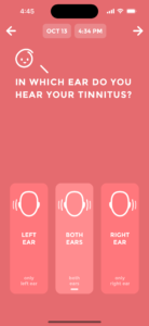 Tinnilog - Tinnitus Tracker - Create Entry - Describe Tinnitus